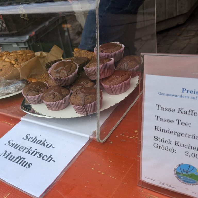 Eine feine Auswahl an verschiedenen Kuchenstücken.